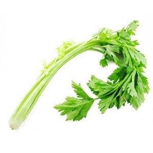 唐芹 Chinese Celery per lb