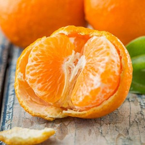 大甜橘 Sweet Tangerine (piece)