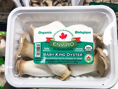 有機迷你皇子菇 Baby King Oyster Mushroom 2 tray 建興 Freshway