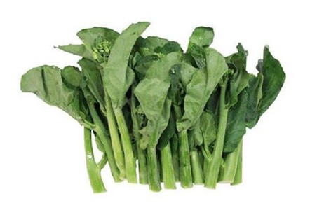 芥蘭苗 Baby Chinese Broccoli per lb
