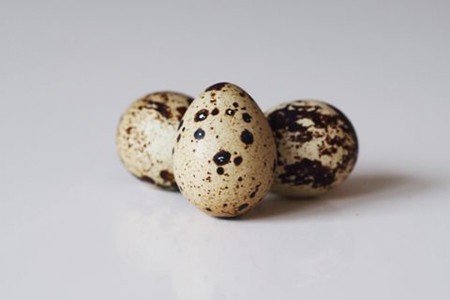 18粒鵪春蛋 Quail Eggs (18 pcs)