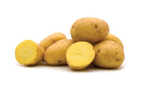 黃薯仔 Yukon Potato per lb