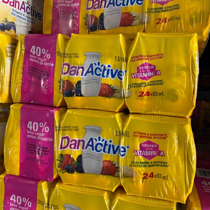 Danone Danactive Probiotic Drink 24x93ml