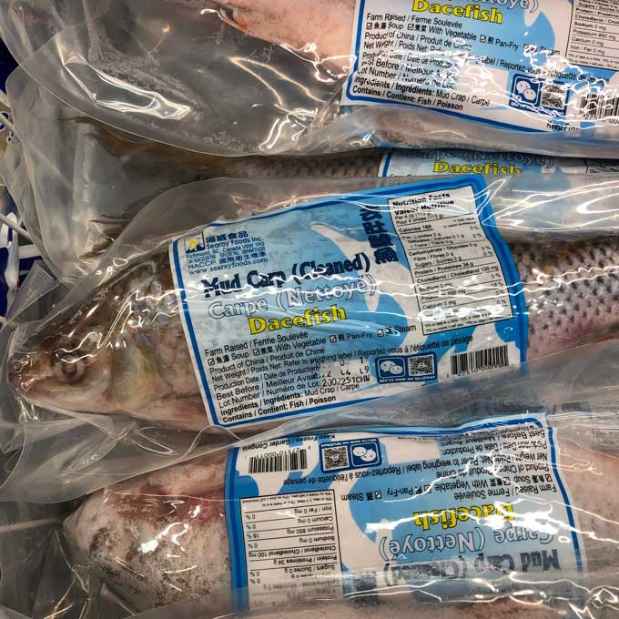 海威牌去肚鯪魚 Searay Dacefish 5.99 lb