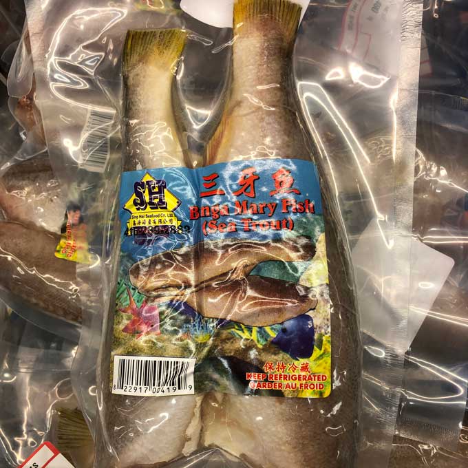 鑫海三牙魚 SH Banga Mary Fish 3.59 lb