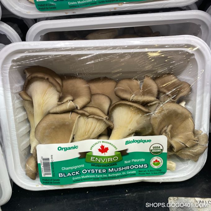 有機皇子菇black Oyster Mushroom X 2 福耀winco Shops At Gogo401