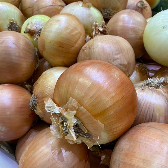 大洋蔥 Onion per lb