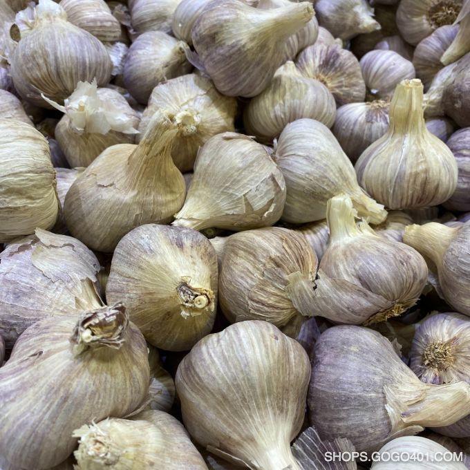 墨西哥紫蒜 Purple Garlic per lb 福耀 Winco