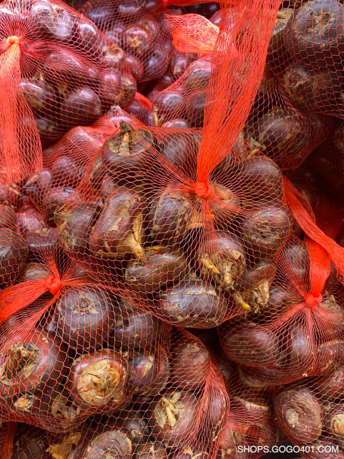 新鮮馬蹄 Fresh Water Chestnut per lb (福耀 Winco)