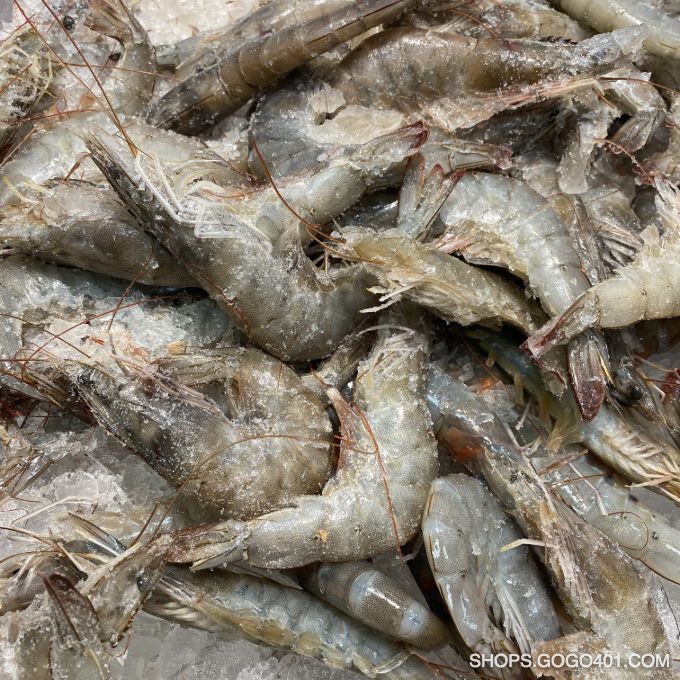 有頭南美白蝦 White Shrimp Head On 20/30 per lb 建興 Freshway