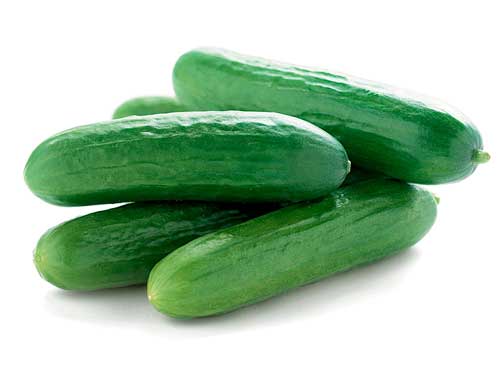 迷你青瓜 Mini Cucumber per lb 建興 Freshway