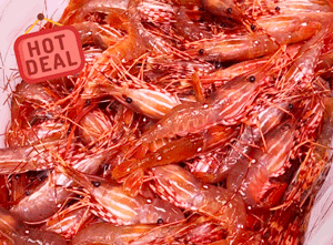 生猛溫哥華紅蝦 Vancouver Red Shrimp per lb